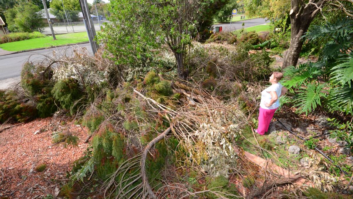 RUINED: Kerrie Brainwood surveys the damage and debris left by unscrupulous tree loppers.