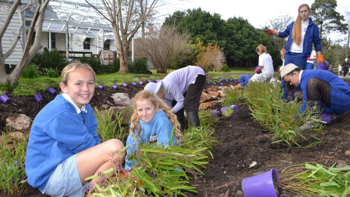 BACK TO NATURE: Berry Public School students Carli Wildi and Abbey Crapp are hard at work replanting the Berry Town Park site. 