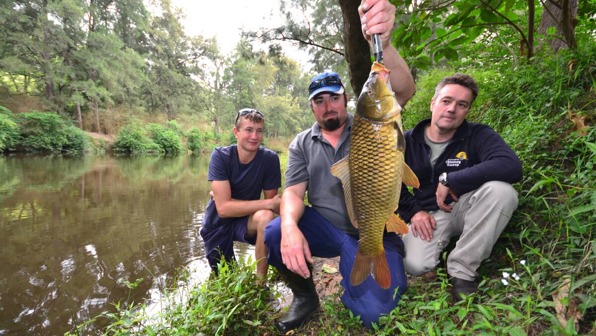 CATCH A CARP: Kangaroo Valley residents Julian George, Chad Pinney and Brad Harvey invite you to join the Valley’s first carp fishing competition in March.