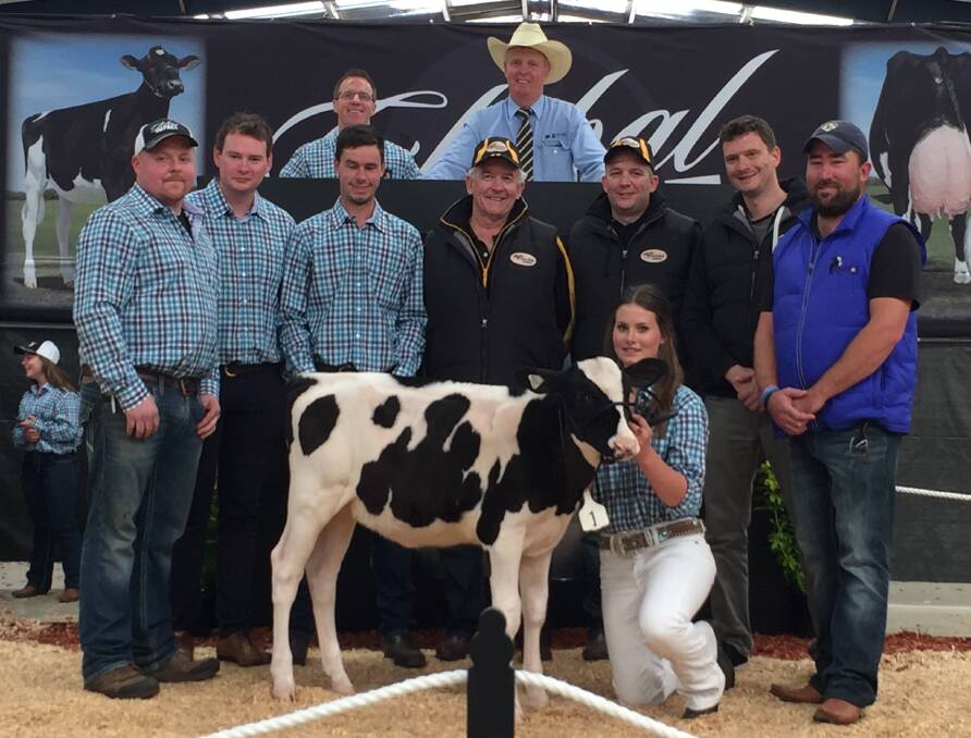 NEW RECORD: US buying agent Dusty Schirm, Global Impact sale manager Declan Patten and Callum Moscript, with vendors Alex, Craig and Jared Cochrane and Rocky Allen, with handler Jess Mumford and three-month-old Parrabel Rockstar O’Kalibra-Imp-ET which sold for $112,000.