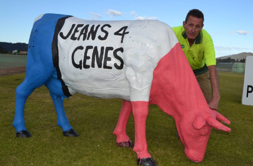 BLUE: Scott Parker from Turfco with his denim cow at Jaspers Brush.