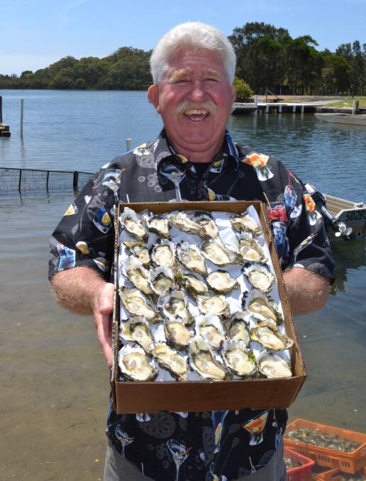 PLUMP AND CREAMY: Greenwell Point’s oyster genius Jim Wilde shows off some of his home-grown crop which he says are the best he has seen in a while thanks to recent rains.