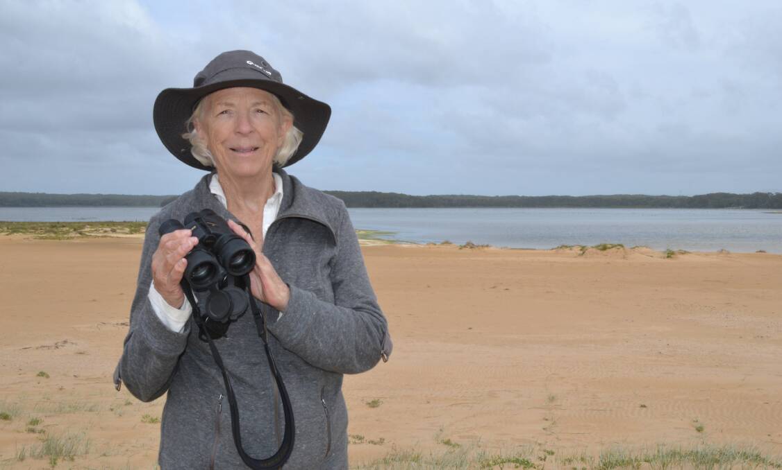EAGLE EYED: NPWS shorebird volunteer co-ordinator Frances Bray hopes for a record number of hatchings of little terns this year at Culburra Beach.