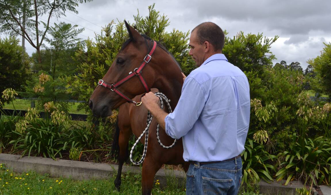 LOW RISK: Veterinarian David Searle from Illawarra Equine Centre says the possibility of Hendra infection is extremely low on the South Coast. He is not aware of any local practice refusing to treat unvaccinated horses.