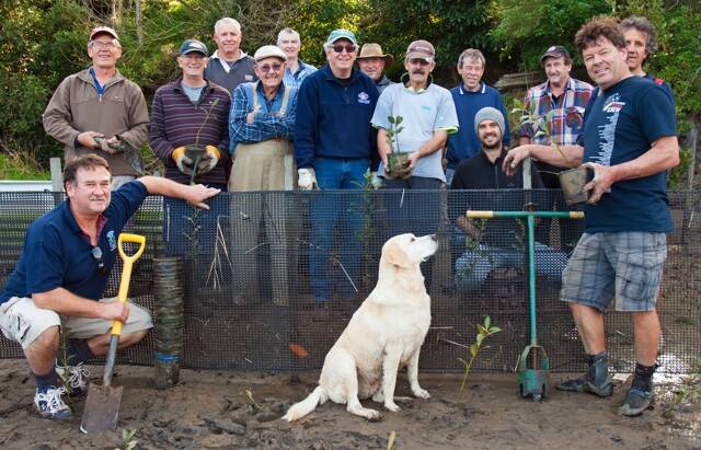 PLANTERS: Members of a group who planted 3000 mangroves in two years along the riverbank fronting the Nowra Golf Club, Robert Russell (kneeling) Peter Jirgens, John Tate, Ron Cowlishaw, Charlie Weir, Bill Dowdell, Peter Rodden, Chris Evison, Andy Johnstone, Ian Bice, Seth Lawrence, Graham Hurst, Robin Moyes, Peter Lawrence and Sadie the labrador.