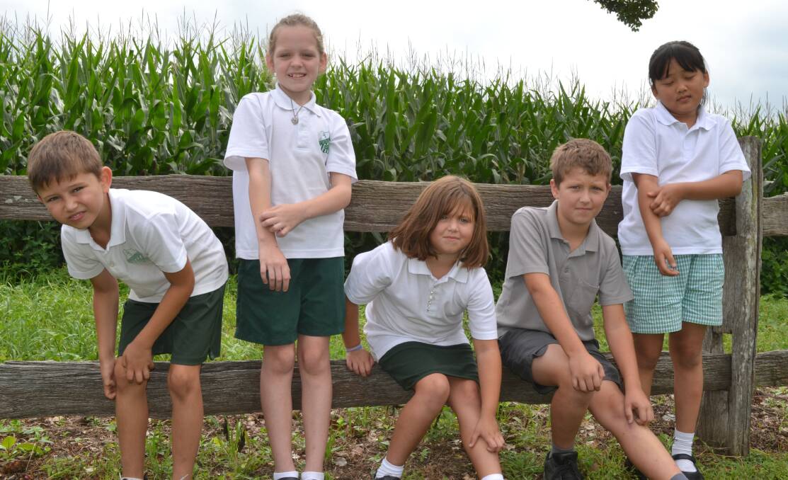 BUZZ OFF: Logan Easton, Maddy French, Ava Kerr, Llandyn Kerr and Judy Meng from Terara Public School feel the itch during an unusually intense mosquito season.	 Photo: MAISIE COHEN