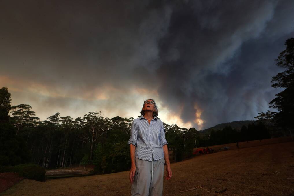 LOOKING TO THE SKIES: Residents like Ros Hodgkins were on high alert at Tapitallee on Saturday. Picture: Sylvia Liber. 
