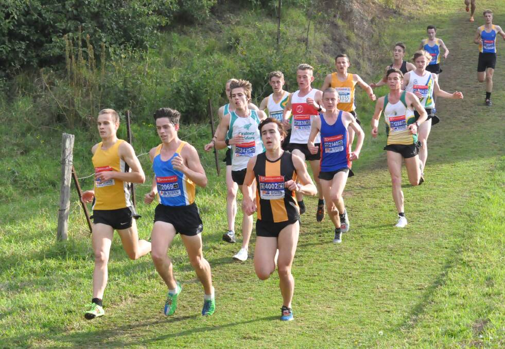 NSW cross country championships 