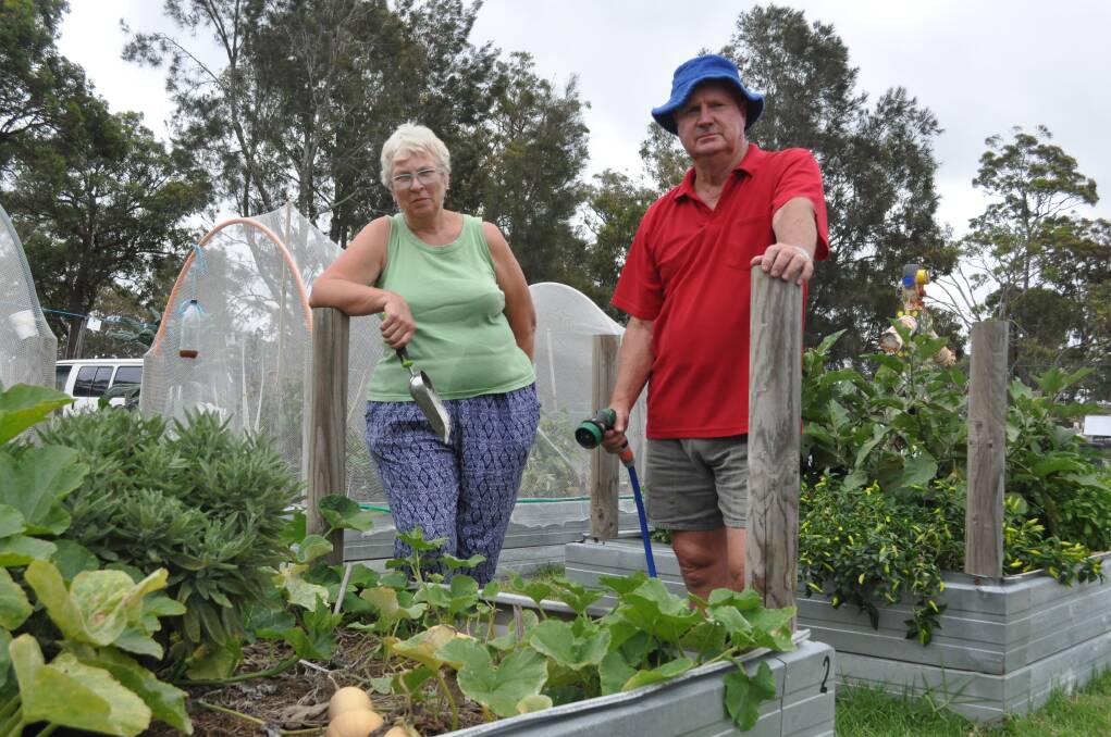 Clifton Community Food Garden vice president Wendy Parkinson and treasurer John Kelly hope the thieves that recently stole from them will be caught.