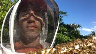 Feel the buzz as bee man swarms into action