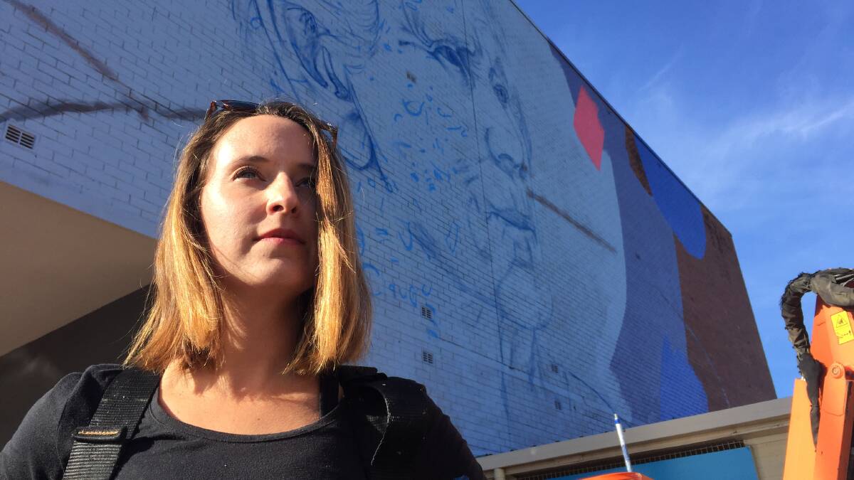 Claire Foxton's work helps make the Nowra CBD brighter