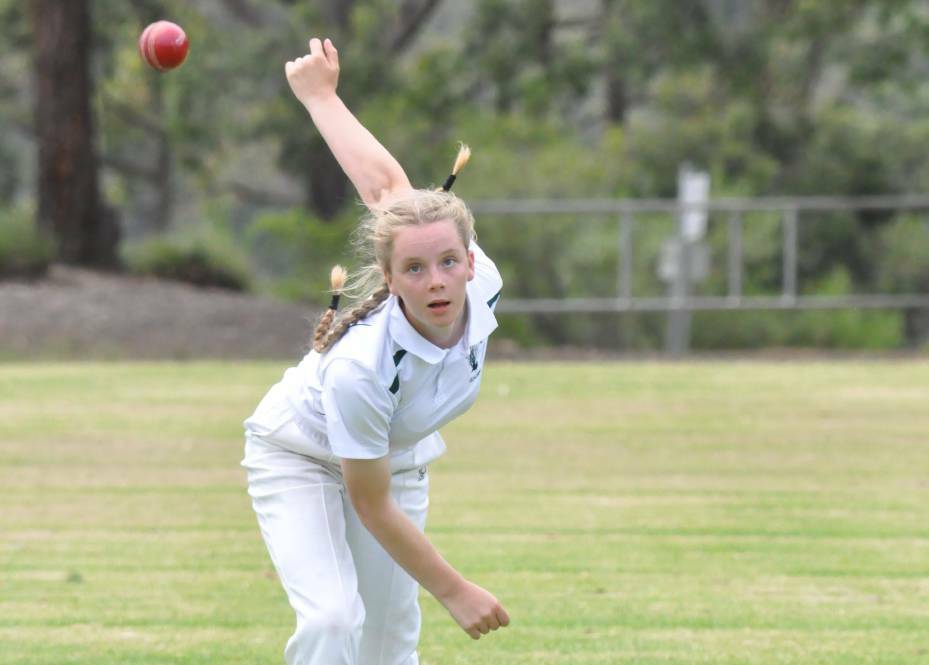 OPINION: Let’s swing into action for our local cricket