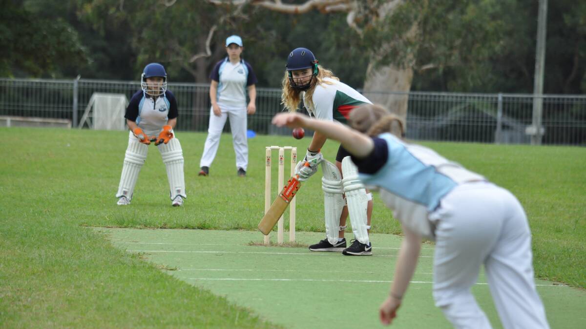 Nowra v Bomaderry cricket game
