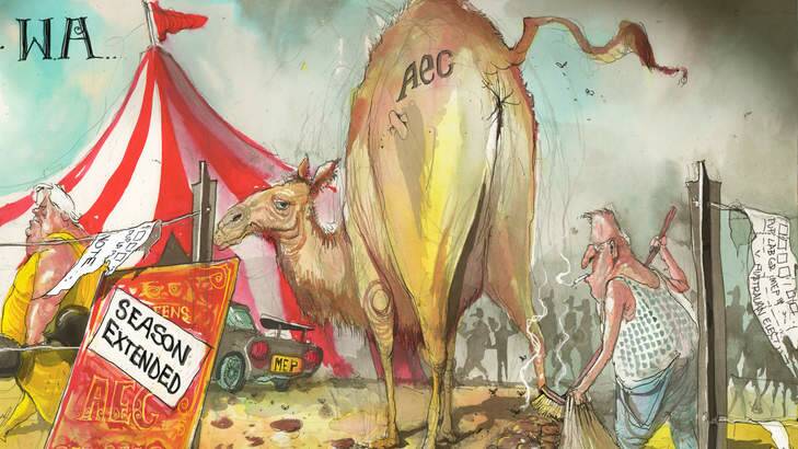 The Coalition's chance of improving its  position is slim, but the possibility of its position becoming worse, and of practical government becoming more difficult, is significant.) Photo: David Rowe