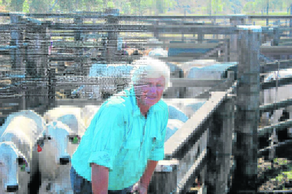 Local beef producer Warren Drynan is moving half his stock to the drought declared shire of Maranoa for feed.