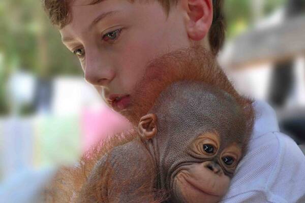 BEAUTIFUL MOMENT: Daniel Clarke (pictured) and his brother William will share their love of reading and desire to help orang-utans with students from Vincentia Public School today.