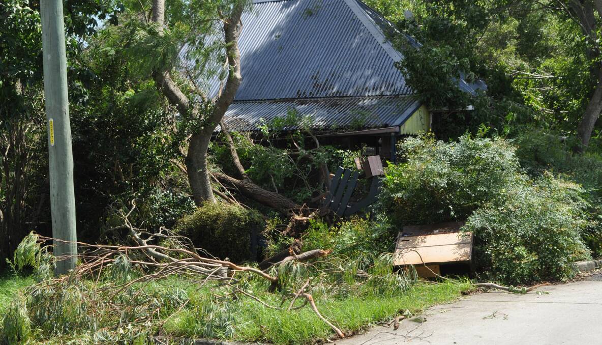 FALLOUT: A neighbouring property on Hyam Street is covered in fallen trees and debris. 