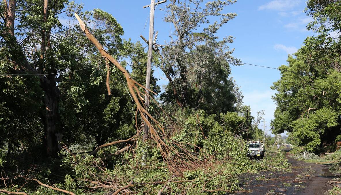 The beautiful, scenic country area of Terara Road this morning is a battered, twisted mess. 