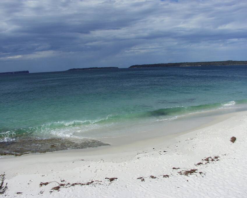 Warm waters in Jervis Bay have encouraged sharks to come closer to the shore according to the local shark patrol crew.
