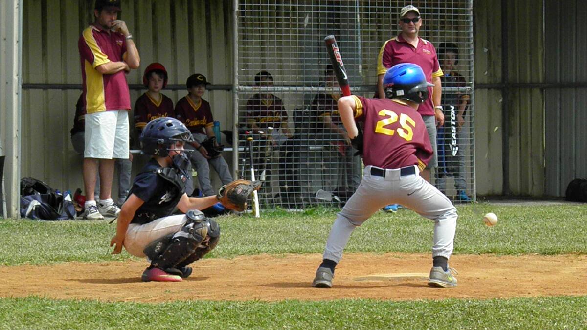 EYE IN: Shoalhaven Mariners catcher Ethan Harpur was always on the ball last week against Dapto Chiefs.