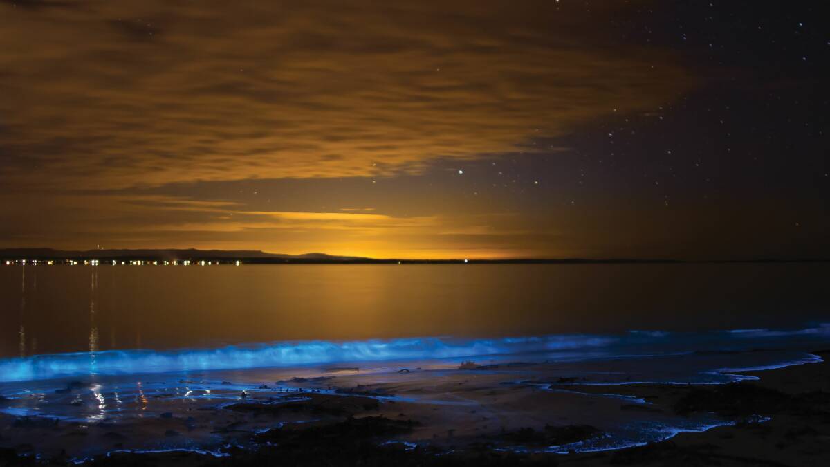 LIGHT PLAY: Rare bioluminescent algae lights up waters of Jervis Bay NSW by Jodee Caple, Nowra, NSW, featured in the 2014 Postcards From Your Town calendar.