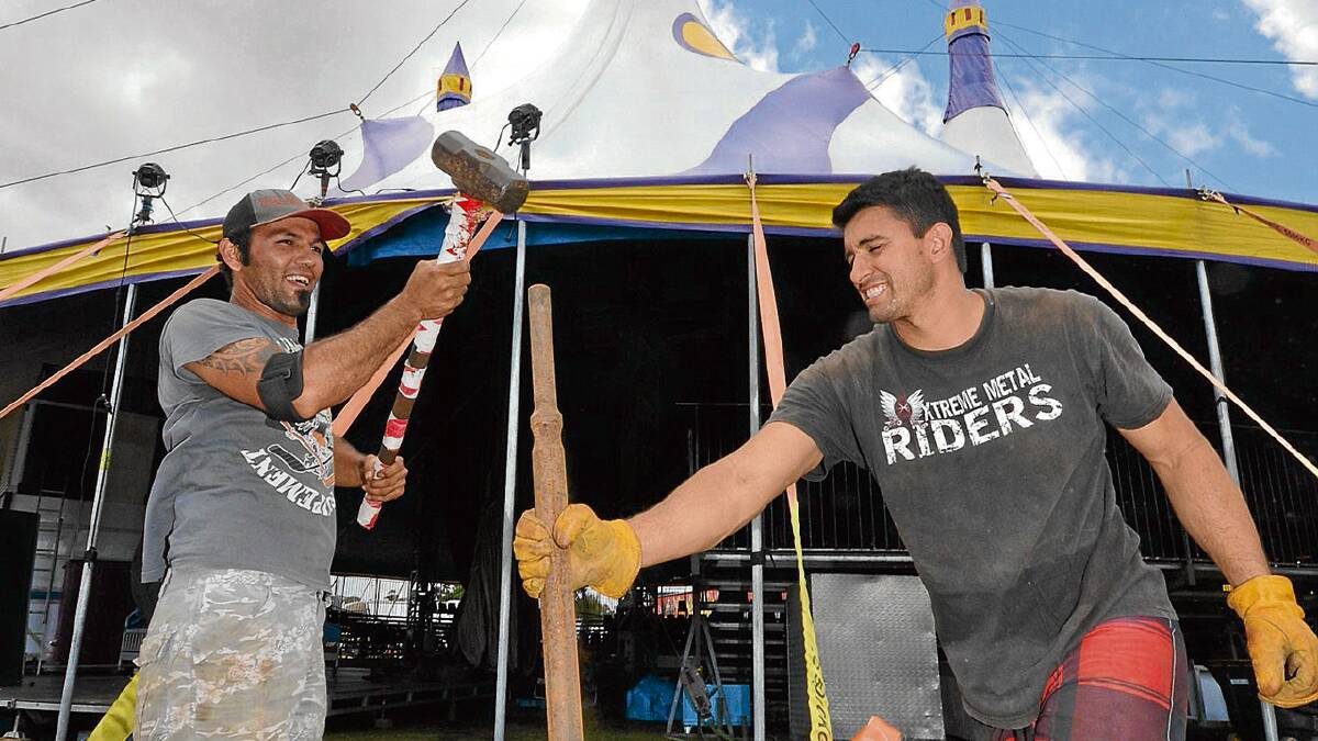 NOW THAT’S A TENT: Luis Daza from Colombia and Ricardo Espana from Brazil help put up the main tent of the Great Moscow Circus in Nowra on Tuesday. 