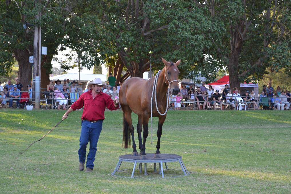 IMPRESSIVE: Greg Glasgow with his mare ‘Jessica’ putting on a fine display for the audience at the Berry Show on Saturday.
