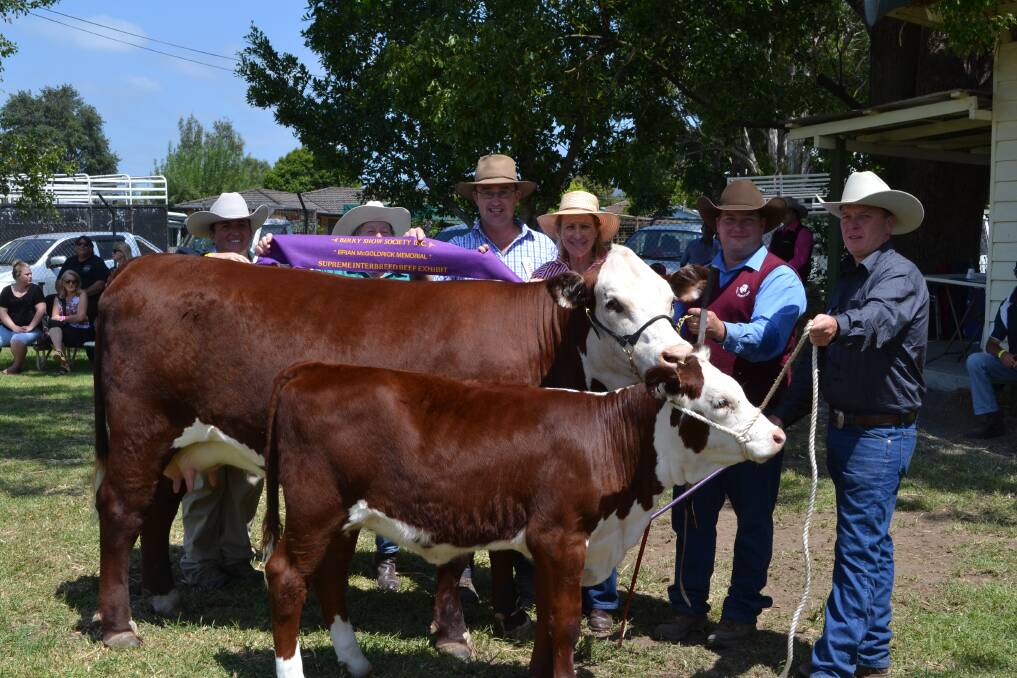 SUPREME EFFORT: Judge Renee Robertson with winning owner Margaret Hughes from Mittagong, Steward Phil Duncan, Catherine McGoldrick from Jaspers Brush, Hayden Green from Mittagong holding Supreme Beef Exhibit winner ‘Elm Vale Joibelle’ and Aaron Brennan from Bowral at the Berry Show on Saturday.