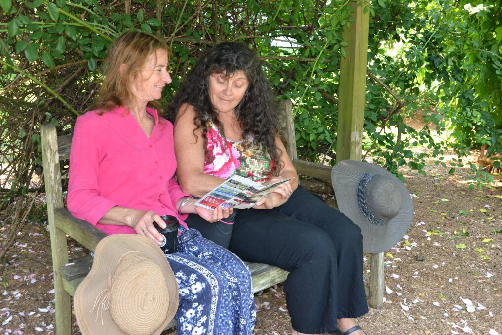 Sally Hayward and Sue Meade from Kangaroo Valley admire garden number two at the Berry Garden Festival on Saturday.