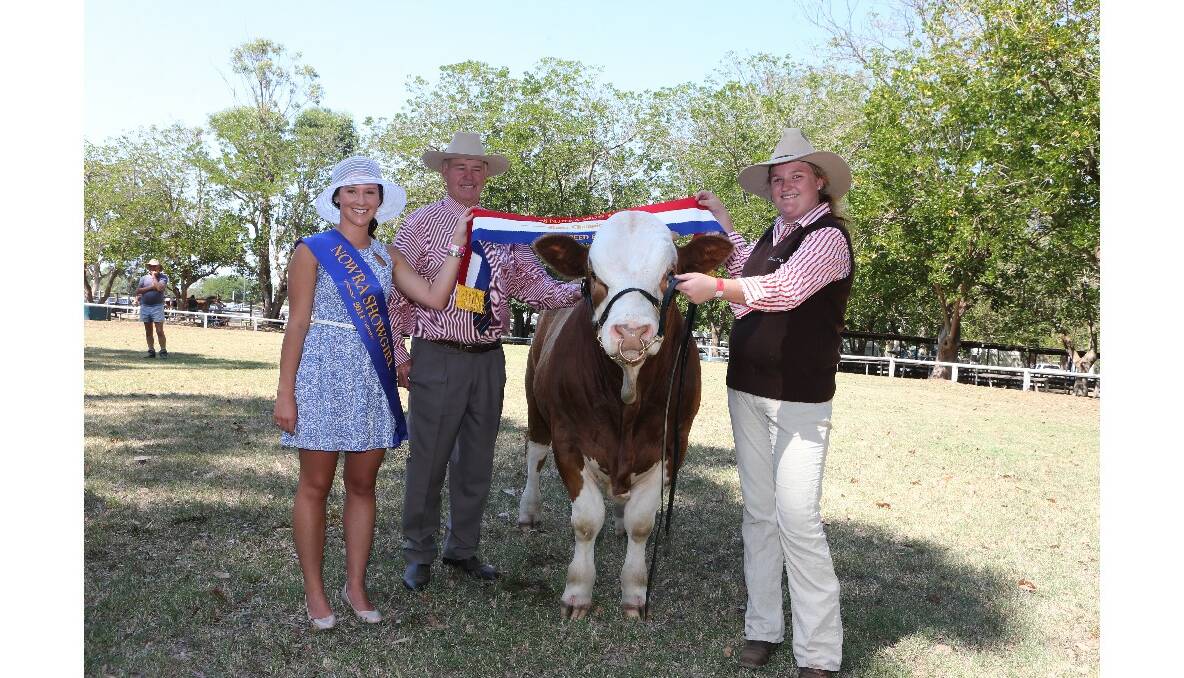 Day two of the Nowra Show is under way -  We have already been to the beef judging - check out the major winners so far.