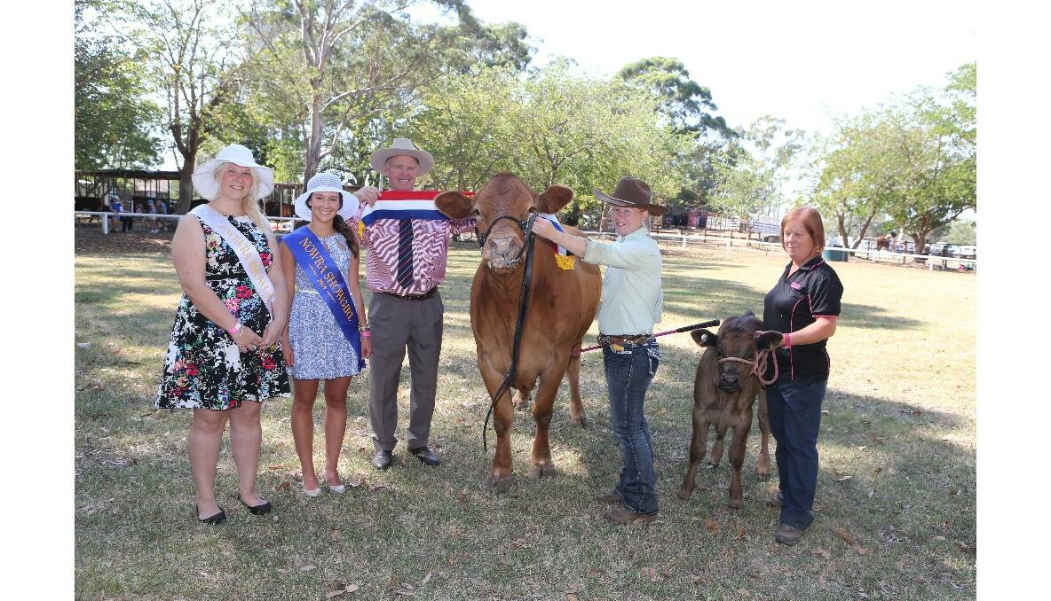 Day two of the Nowra Show is under way -  We have already been to the beef judging - check out the major winners so far.
