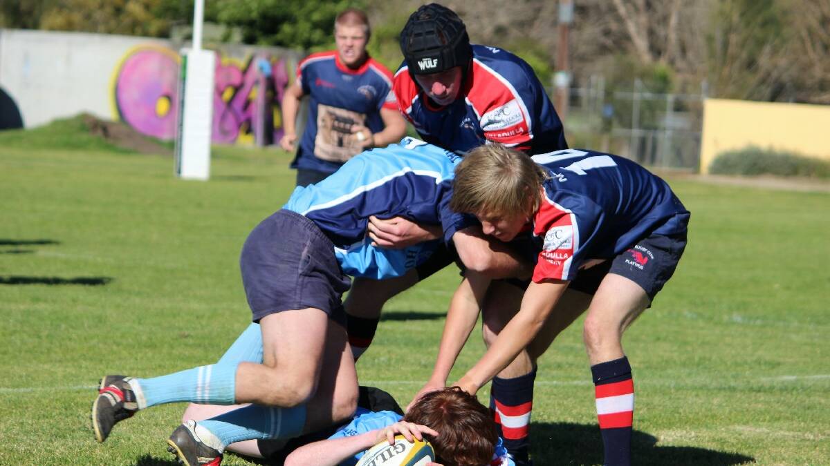 ULLADULLA: Milton Platypi players Mitchell Rixon and Jamie Jones tackle their Bombala opponent on their way to winning the South Coast Rugby's plate grand final at Batemans Bay on Saturday.