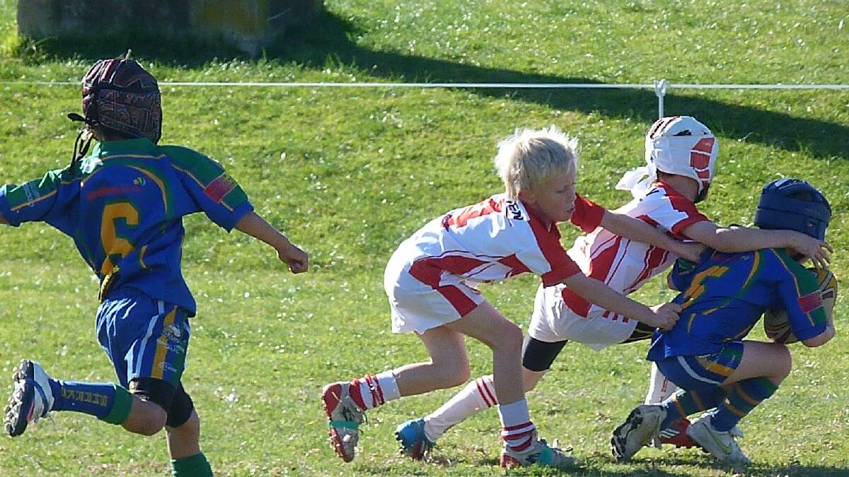 EDEN: Tiger cub Sean Swires takes on a Moruya Shark in the Under 7s.