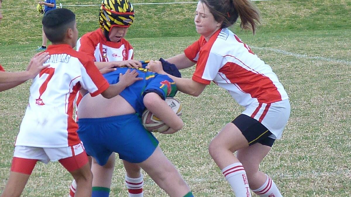 EDEN: Haylee Spinks mans up to help the Tiger Cubs beat Moruya 26 to 6 in the Under 12s.
