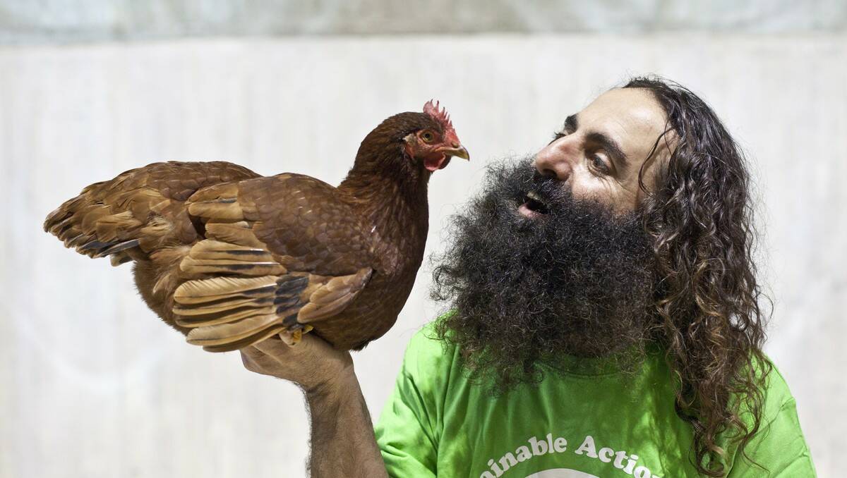 MORUYA: Chicken charmer Costa Georgiadis is expected to draw his usual enthusiastic crowd at the Southeast Harvest Festival in Moruya.
