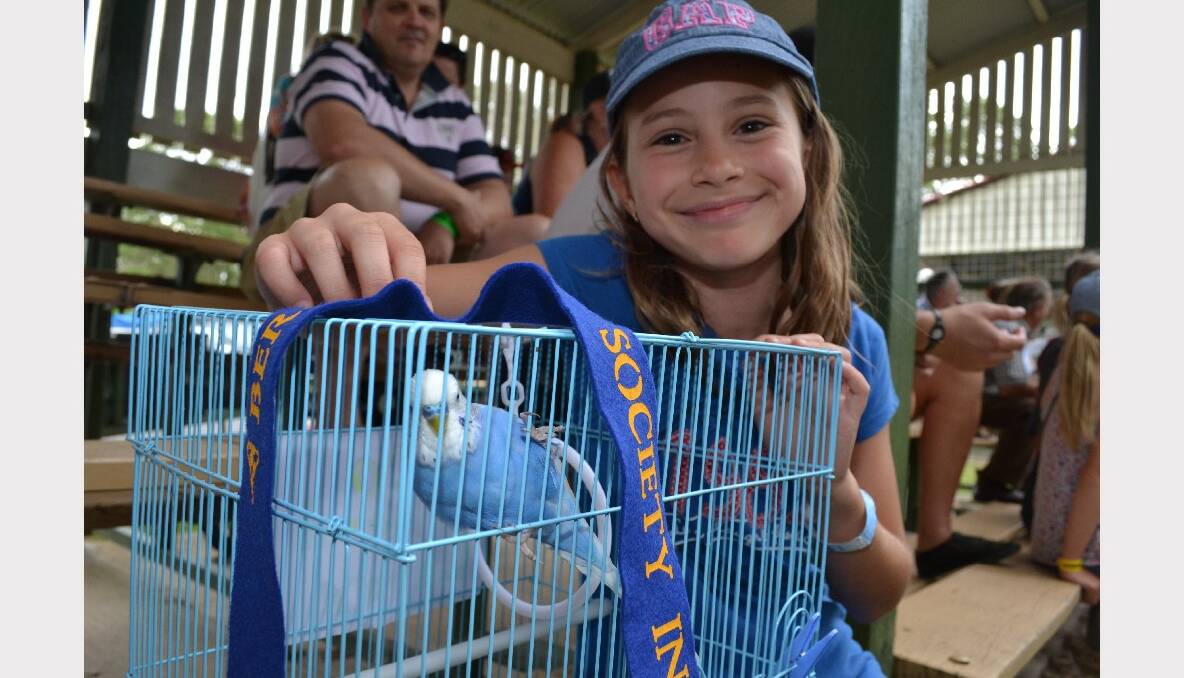 Alanya Delfino from Kiama with Coco the winner of the prettiest budgie competition at the Berry Show.