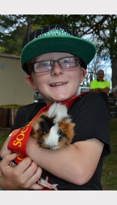 Brad Church from Berry with Louie the second most colourful guineapig at the Berry Show. 