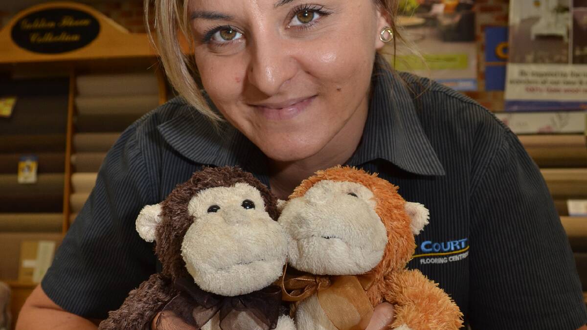LOST: Renee Halasa hopes to find the owner of the two toy monkeys someone left behind at Terry Harvey’s Carpet Court at South Nowra.
