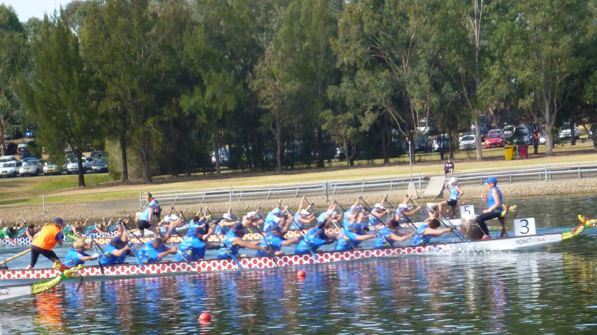 IN THE LEAD: Wendy Westaway steers the Nowra Waterdragons to victory in the masters mixed heat at the Penrith Regatta Centre in October, 2013.