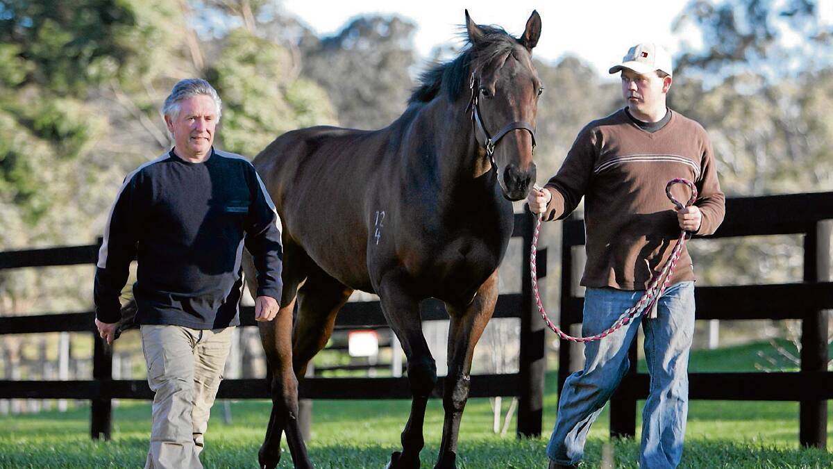 RACING STRIPES: Bell View Park Stud owner Gary Mackrell and son Adam with star broodmare Russeting.