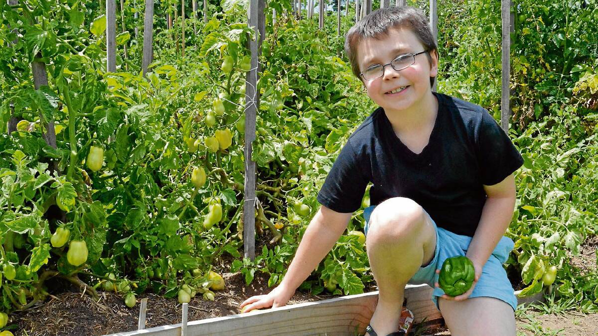 SOLA-POWERED: Jace Grant is seeing a sunnier future as SOLA provides support and opportunities to learn.