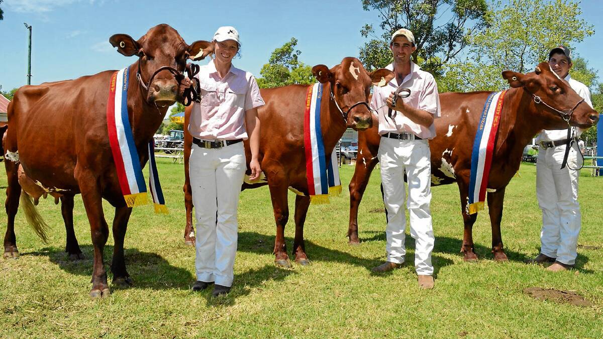 TRIPLE TREAT:  Tom and Kyleigh Cochrane from the Kangawarra Stud at Pyree along with Alexz Crawford had a successful day at the Berry Show taking out junior, intermediate and senior Illawarra champions with three sisters from the Stella family.