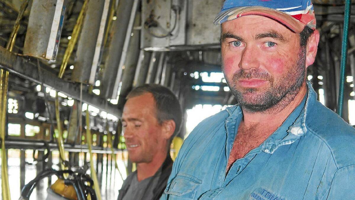 LOCAL INTEREST: Pyree dairy farmer Con Watts, with his employee Col Hewitt, will be watching with interest as a group of farmers from Manning Valley look to deal directly with supermarket giants Woolworths.