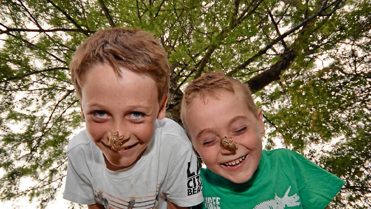 COLLECTORS: Deklan, 9, and brother Rixon, 6, Green of North Nowra play with cicada shells in what has been a very noisy summer for Shoalhaven residents.