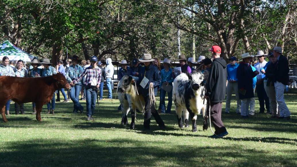 SHOWGROUND UPGRADE: The Nowra Showground is a multi-use facility and is home to events like the South Coast Beef School Steer Spectacular which was held on Wednesday, May 5.
