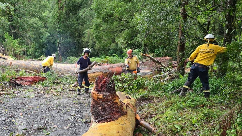 ROADS: Kangaroo Valley Brigade crews have been clearing fallen trees for the last few days from some of the smaller roads to allow stranded locals to finally get out. Image: Kangaroo Valley Volunteer Rural Fire Brigade.