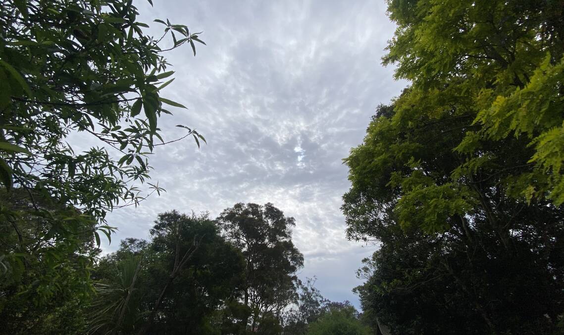 SHOWERS FORECAST: Grey clouds rolling in at North Nowra after steady rains on Wednesday. Image: Grace Crivellaro.