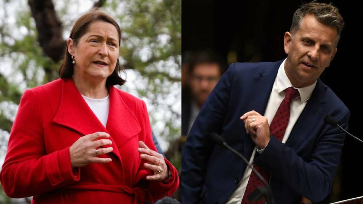 Labor's Fiona Phillips holds Gilmore on a 2.6 per cent margin, but the Liberals are banking on Andrew Constance to snatch it back. File image. 