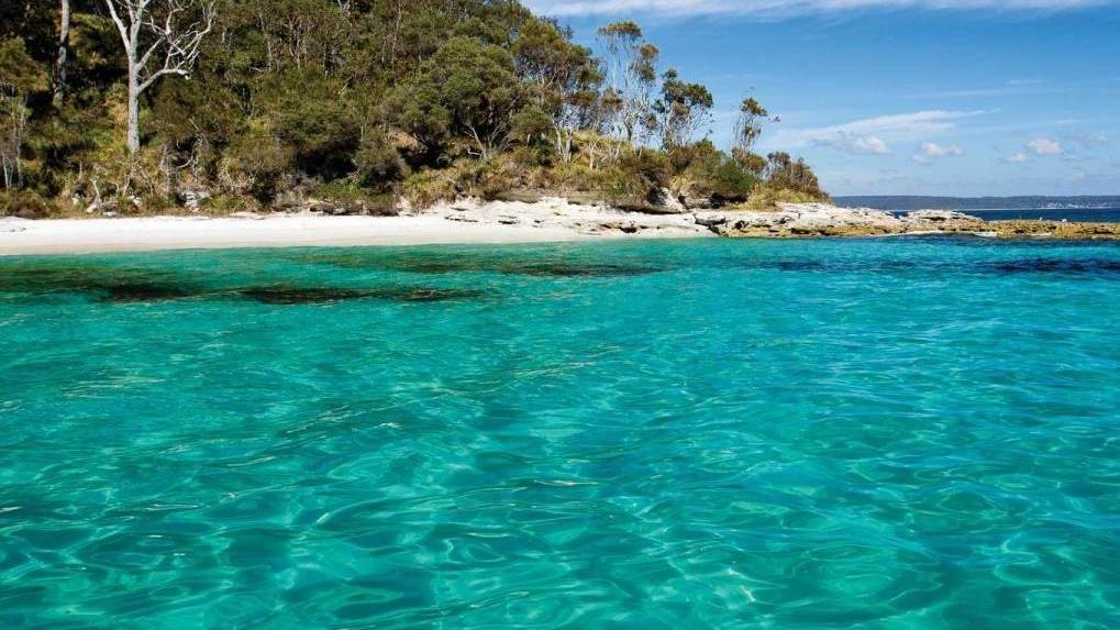 NEW DOCUMENTS: Independent MLC Justin Field said concerns were raised by Transport for NSW in documents he obtained that a proposal for ships to be allowed into Jervis Bay would harm the marine park's environment. File image.