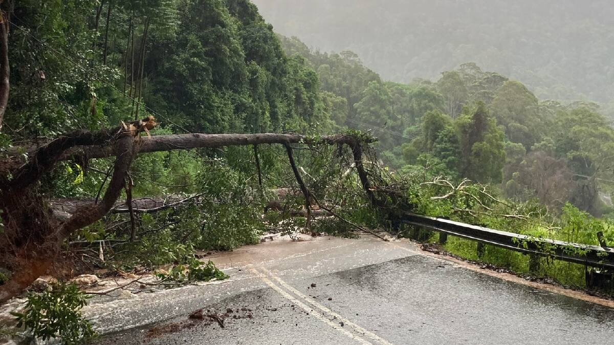 DAMAGE: Cambewarra Mountain was closed temporarily on Thursday due to fallen trees and debris, which was "another blow" to the Kangaroo Valley community. Picture: Transport NSW. 